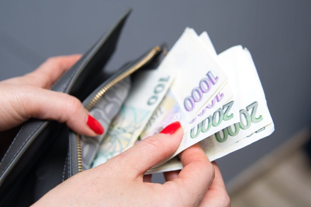 awomanputsczechcrownsinherwallet-thewoman