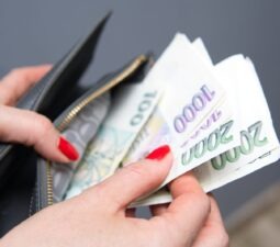 awomanputsczechcrownsinherwallet-thewoman