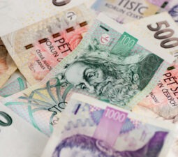 manyczechkorunacurrencybills
