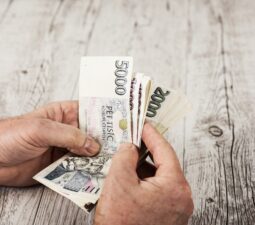 czechbanknotesinafaninthehandsofa